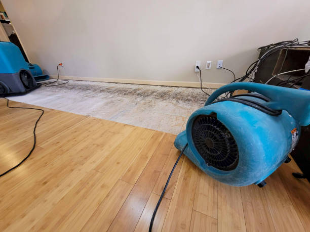 Professional Flood Damage Cleanup technician working in Norwood, NC